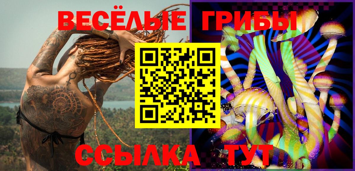 Галлюциногенные грибы мицелий  Ачхой-Мартан 