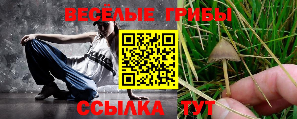Ачхой-Мартан  Псилоцибиновые грибы Cubensis  закладка  Галлюциногенные грибы ЛСД  Вход с VPN 