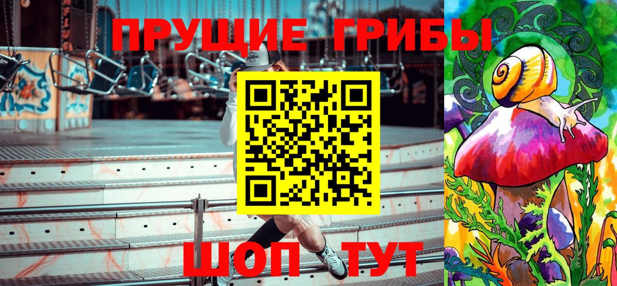 Псилоцибиновые грибы мицелий Ачхой-Мартан