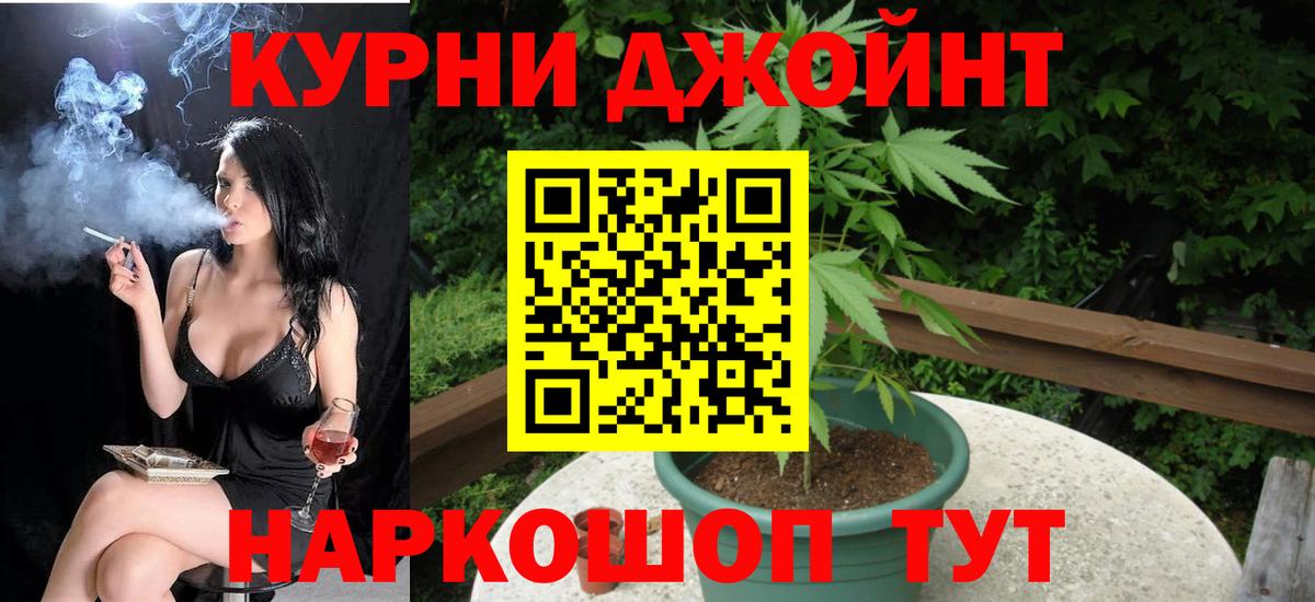 Конопля конопля Ачхой-Мартан